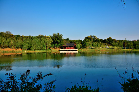 中山風(fēng)景區(qū)濕地