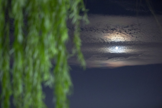 月夜