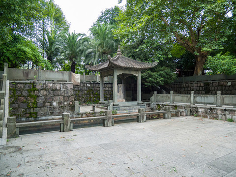 南星古泉