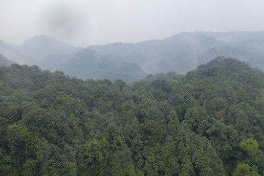 無人機(jī)航拍杭州龍井村18