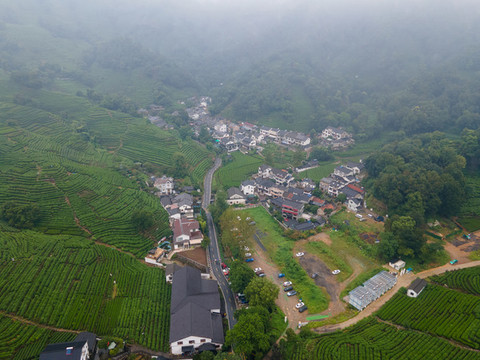 無人機航拍杭州龍井村29