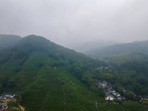 無人機(jī)航拍杭州龍井村34