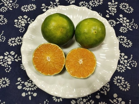 云南蜜橘
