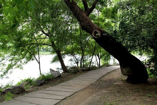 路