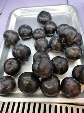 黑李子