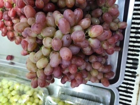 進口紅提大圖