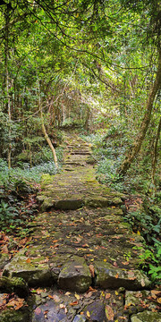 山路