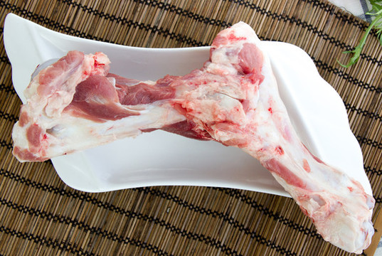 前腿骨