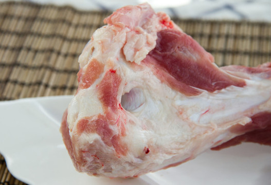 前腿骨