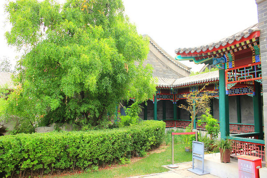 公園一角