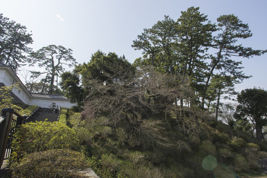 小公園
