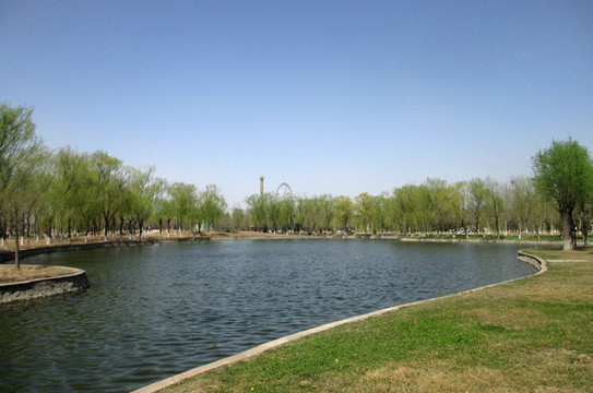 城市公園