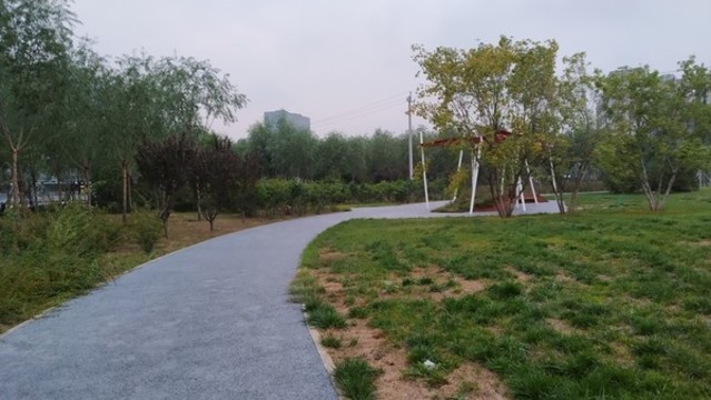 惠水灣森林公園