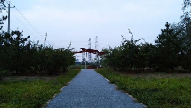 惠水灣森林公園