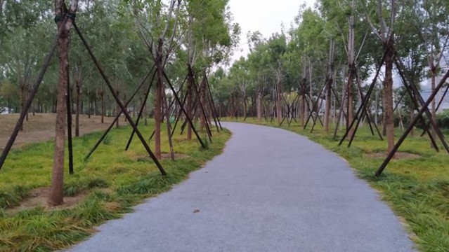 惠水灣森林公園