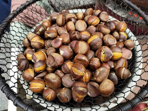 糖炒栗子