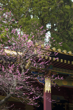 日本寺廟