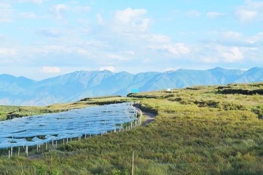 高山山脈