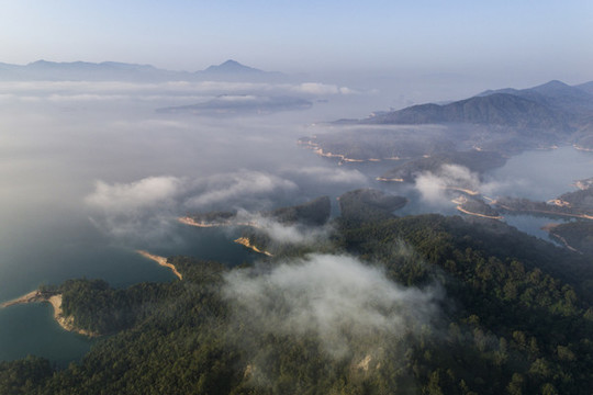 萬綠湖