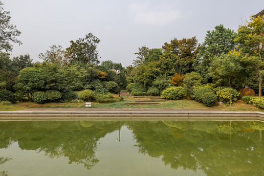 小區(qū)綠化一景