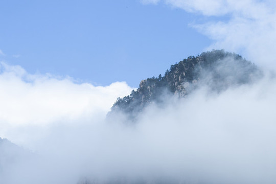 山霧