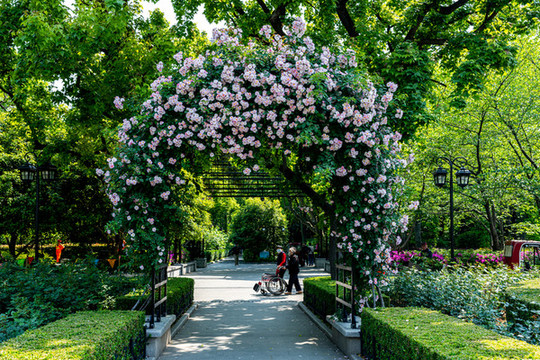 上海復(fù)興公園