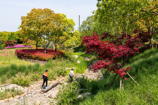 郊野公園景觀景色