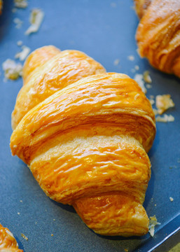 烘焙糕點