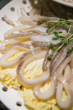 魷魚(yú)