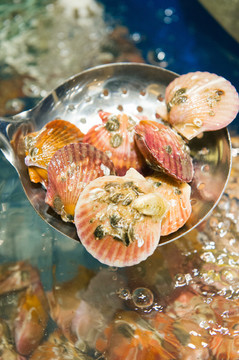 新鮮海鮮