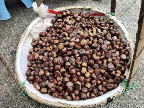 油板栗
