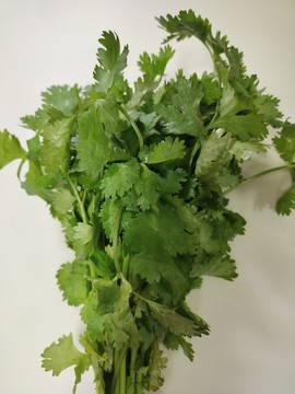 香菜葉特寫