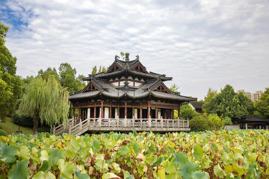 荷花中的古建筑