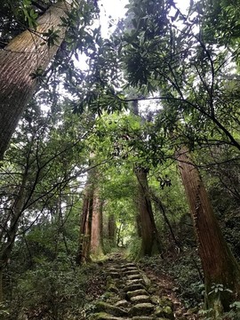 臨安天目山