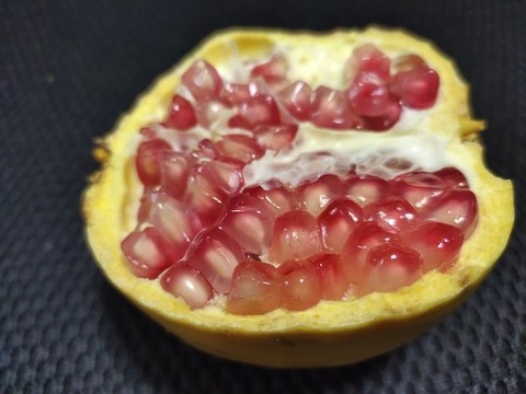 紅石榴