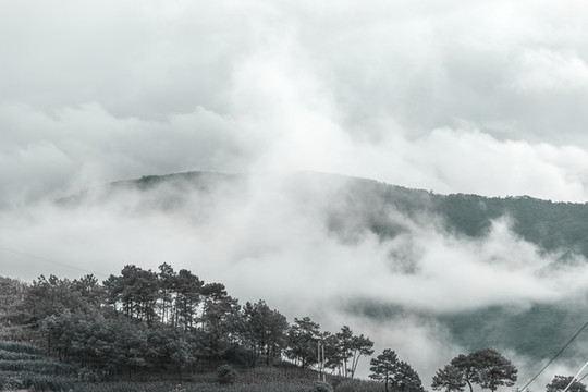 晨霧