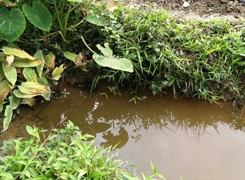 田園