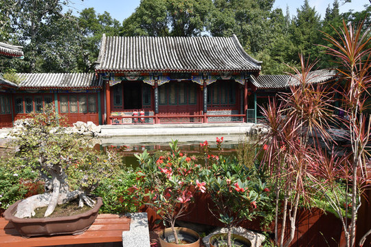 北京宣武藝園盆景園