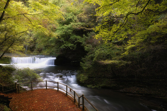 陜西漢中黎坪國(guó)家森林公園風(fēng)光