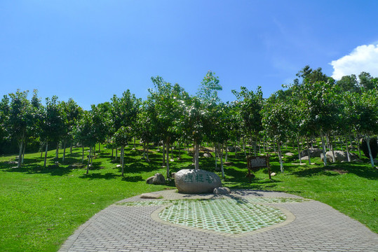 三亞南山文化旅游區(qū)