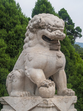 南京中山陵石獅子