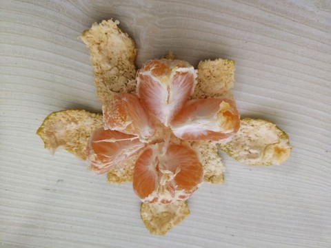剝皮的橘子