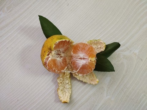 新鮮橘子