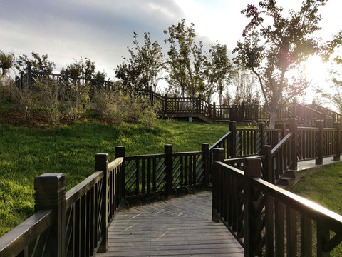 公園秋景