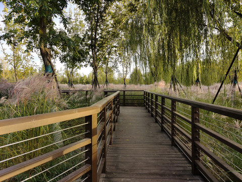 公園秋景