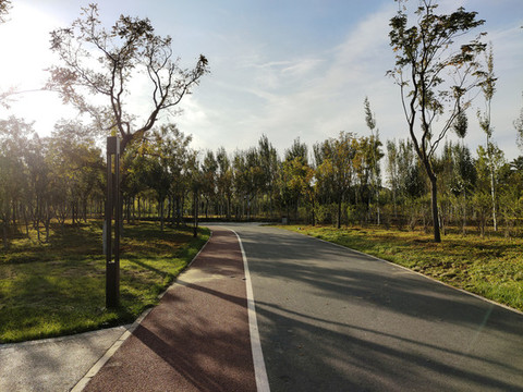 公園秋景