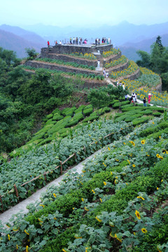 歙縣旅游景點(diǎn)下汰