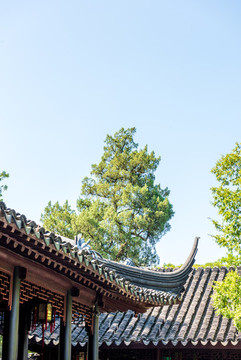 蘇州園林一角
