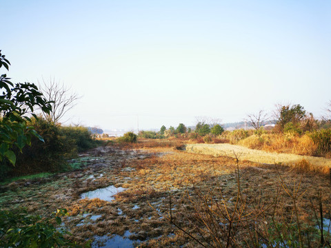 鄉(xiāng)村風景