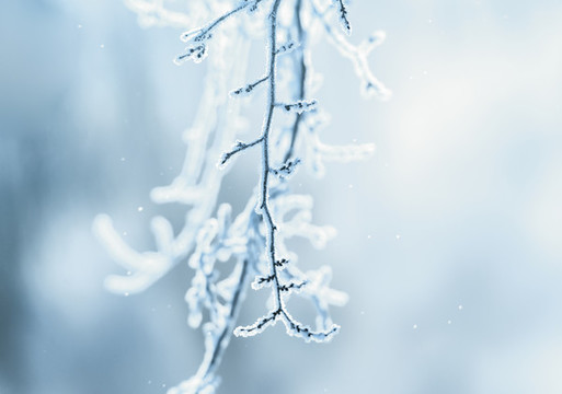 雪景風(fēng)景